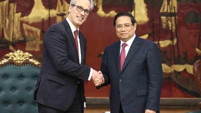 Vietnam continúa cooperando estrechamente en la lucha contra la pesca ilegal, no declarada y no reglamentada (INDNR).