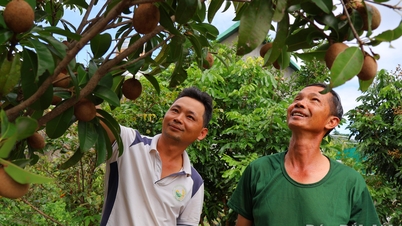 Green season on barren land