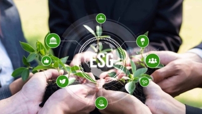 Pour une mise en œuvre efficace des critères ESG : une approche « souple » mais « ferme » est nécessaire.