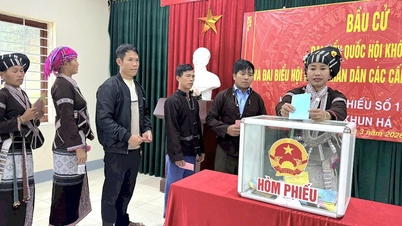ភាគរយនៃស្ត្រីដែលត្រូវបានជ្រើសរើសឱ្យចូលរួមក្នុងក្រុមប្រឹក្សាប្រជាជនខេត្តឡៃចូវសម្រាប់អាណត្តិឆ្នាំ ២០២៦-២០៣១ បានឈានដល់ ៣២%។