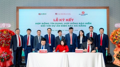 Yeşil krediler hız kazanıyor: Agribank, 3 trilyon VND değerinde atık enerjisi projesini finanse ediyor.
