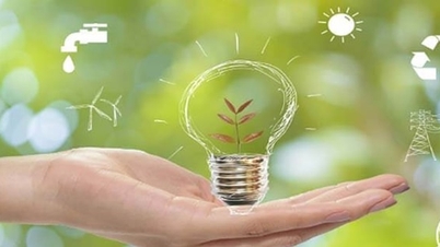 Styrking av energisparingsinnsatsen, fremme energiomstillingen og utvikling av elektrisk transport.