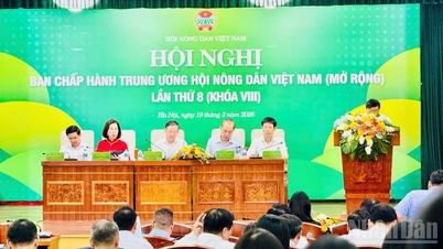 Empat hal penting yang perlu dipersiapkan untuk Kongres ke-9 Asosiasi Petani Vietnam.
