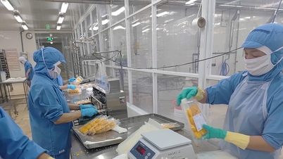 Vydávání osvědčení o původu: Usnadnění exportních podniků.