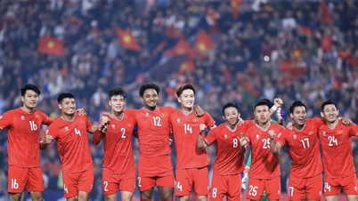 Officiel : L'Asie du Sud-Est dispose désormais d'un championnat au sein du système FIFA.