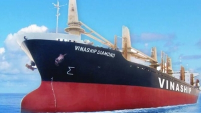 Vinaship lên kế hoạch lãi tham vọng 130 tỷ đồng trong năm 2026