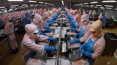 Internationale deskundigen hebben een positieve kijk op de Vietnamese economie.