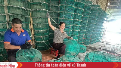 Profesi menenun jaring untuk menangkap kepiting sangat menguntungkan.