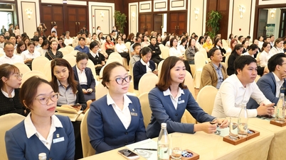 Improving the quality of services at tourism businesses in Da Nang.