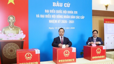 La provincia de Dien Bien anuncia la lista de representantes electos para el Consejo Popular Provincial para el período 2026-2031.