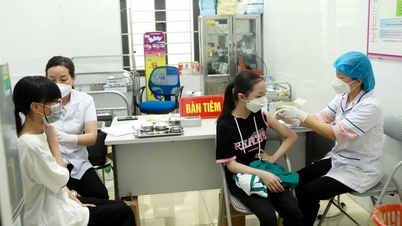 베트남은 2027년 말까지 보조금 지원을 통해 HPV 백신을 저렴한 가격으로 계속해서 공급받을 예정입니다.