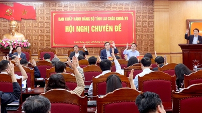 The XVth Provincial Party Committee's Executive Committee Conference