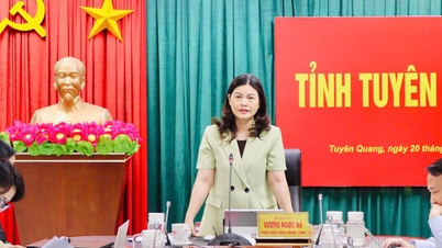 รองประธานคณะกรรมการประชาชนประจำจังหวัด หว่อง ง็อก ฮา ทำงานร่วมกับชุมชนดงวัน เหมียววัก และกวนบา