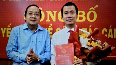 El Sr. Truong Tan Son ocupa el cargo de Director del Departamento de Industria y Comercio de la provincia de Tay Ninh.