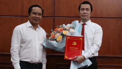 Komite Partai Provinsi Long An telah meminta agar Bapak Truong Tan Son kembali ke kampung halamannya untuk bekerja.