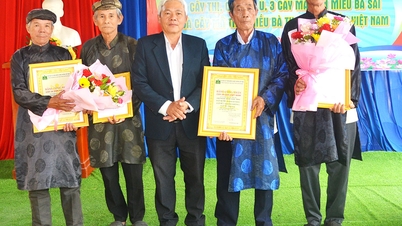 La comuna de Tan Thuy celebró una ceremonia para recibir el certificado que reconoce al árbol como Árbol del Patrimonio Vietnamita.