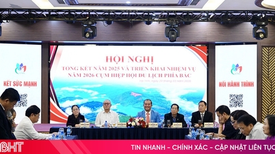 উত্তরাঞ্চলের পর্যটন সমিতিগুলোর মধ্যে সমন্বয় ও সংযোগ আরও জোরদার করুন।