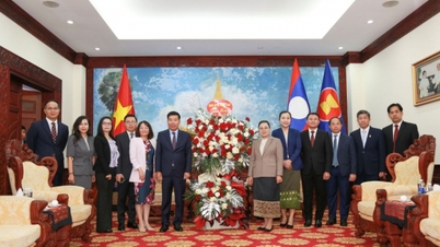 Ahli Jawatankuasa Pusat Parti Komunis Vietnam, Timbalan Menteri Hal Ehwal Luar Negeri Nguyen Manh Cuong mengucapkan tahniah kepada Parti Revolusi Rakyat Lao atas ulang tahunnya yang ke-71.