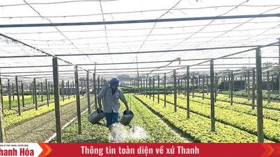 សហករណ៍​បាន​រក្សា​ល្បឿន​ផលិតកម្ម​របស់​ពួកគេ​ចាប់តាំងពី​ដើមឆ្នាំ​មក។