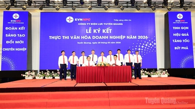 Tuyen Quang Power Company bertekad untuk memperhatikan dan meningkatkan kehidupan para karyawannya serta menerapkan budaya perusahaan yang kuat.