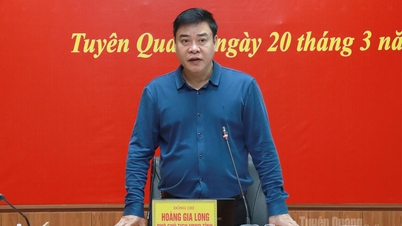 Wakil Ketua Komite Rakyat Provinsi Hoang Gia Long bekerja sama dengan berbagai kecamatan dalam orientasi pembangunan sosial-ekonomi.