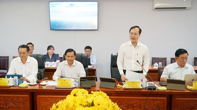 Vinh Long provincial leaders work with businesses on renewable energy development.