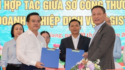 An Giang solicită investiții în logistică și promovează legăturile regionale.