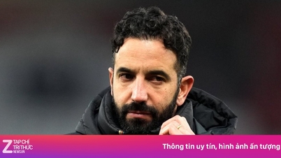 Benfica gera polémica sobre Amorim