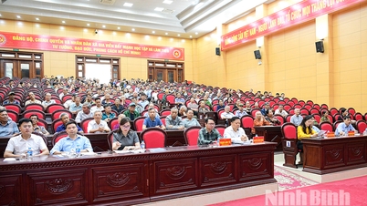 Gia Viễn beldesi, DT.477 numaralı il yolunun yapımı, iyileştirilmesi ve genişletilmesi projesi için arazi temizleme çalışmalarını yürütüyor.