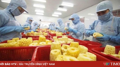 สินค้าเกษตรของเวียดนามมีความอ่อนไหวต่อความผันผวนของระบบโลจิสติกส์