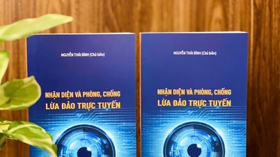 Η «Ασπίδα Γνώσης» εντοπίζει και αποτρέπει την ηλεκτρονική απάτη.