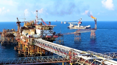 As relações comerciais entre o Vietnã e a Rússia mantêm o ritmo de crescimento, com expansão da cooperação nos setores industrial e energético.