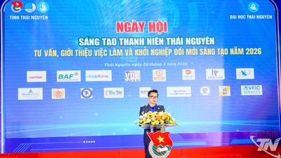 Thai Nguyen Youth Innovation Festival: Connecting with Job Opportunities