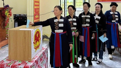21 calon wanita dipilih ke Majlis Rakyat Wilayah Bac Ninh, penggal ke-20.