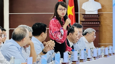 A Ho Si Minh-városi Nemzeti Egyetem a város támogatását kérte a földterületek megtisztításában és a földtulajdoni igazolások kiadásában.