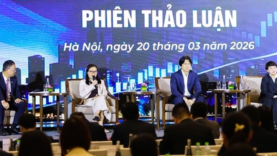 Trilyon dolarlık birçok kurum Vietnam'a giriyor; Menkul Kıymetler Komisyonu başkanı dikkat çekici yeni bilgiler açıkladı.