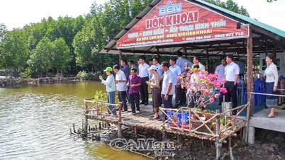 A delegação do Laos inspecionou o modelo de cultivo ecológico de camarão na comuna de Phan Ngoc Hien.