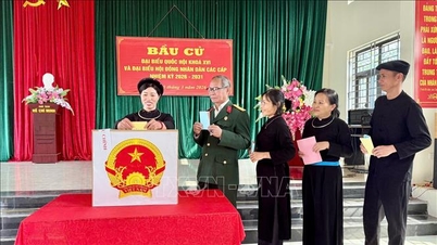 Prowincje Bac Ninh i Ha Tinh ogłaszają listę wybranych przedstawicieli do Rady Ludowej Prowincji.