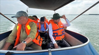 Elaborar un plan para abordar de forma definitiva la cría ilegal de peces en jaulas en el lago Dau Tieng.