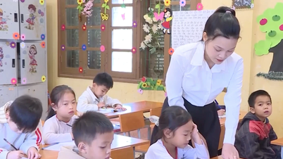 Čtyři učitelé z provincie Thanh Hoa byli zvoleni za zástupce do Provinční lidové rady.