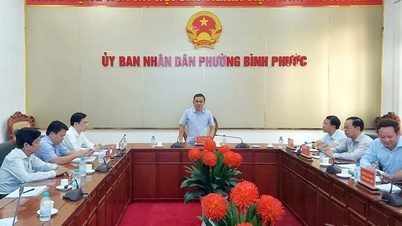 សាកលវិទ្យាល័យដុងណៃ ត្រូវបានចាត់តាំងទីស្នាក់ការកណ្តាលចាស់របស់ខ្លួននៅក្នុងសង្កាត់ប៊ិញភឿក ជាបរិវេណសាលាទីពីររបស់ខ្លួន។