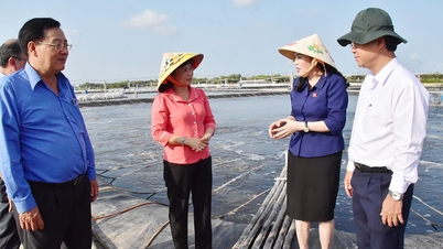 Chủ nhiệm Ủy ban Khoa học, Công nghệ và Môi trường- Nguyễn Thanh Hải làm việc tại Công ty CP Thuỷ sản Thông Thuận- Trà Vinh