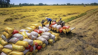 The Ministry of Industry and Trade has issued a directive to promote rice production and export.