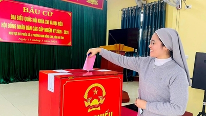 Ha Tinh publie les résultats préliminaires des élections.