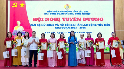 Lao Cai eert 50 uitmuntende vrouwelijke werknemers voor de periode 2023-2026.