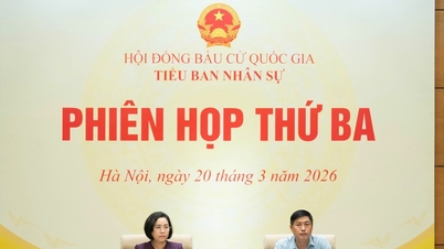 قومی اسمبلی کے وائس چیئرپرسن Nguyen Thi Thanh نے قومی الیکشن کونسل کی پرسنل سب کمیٹی کے تیسرے اجلاس کی صدارت کی۔