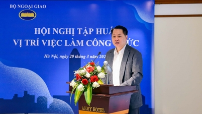 การกำหนดมาตรฐานตำแหน่งงาน: ขั้นตอนพื้นฐานในการปรับปรุงประสิทธิภาพการบริการสาธารณะในภาคการทูต