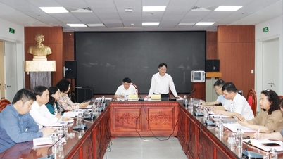 Reviewing the draft Resolution on the renovation and upgrading of Da Bac Bridge on National Highway 10.
