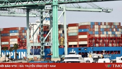 СОТ знижує прогноз зростання світової торгівлі.