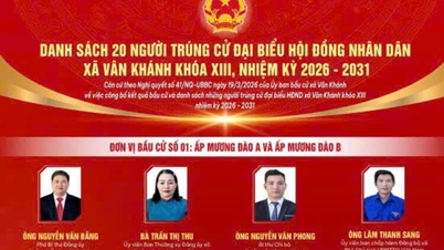 List of 20 elected representatives to the Van Khanh Commune People's Council, 13th term, 2026-2031